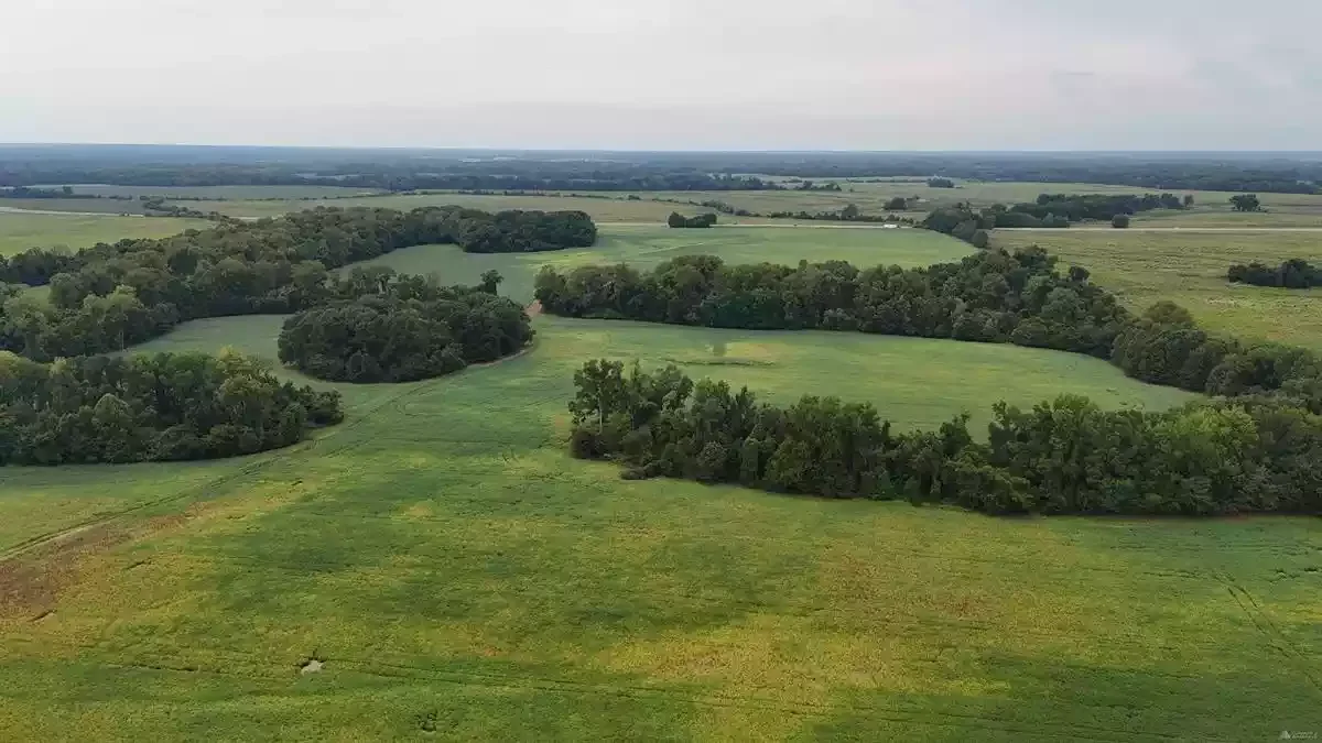 Singleton Pkwy Land — Sale in Millington, TN, photo 4 of 6