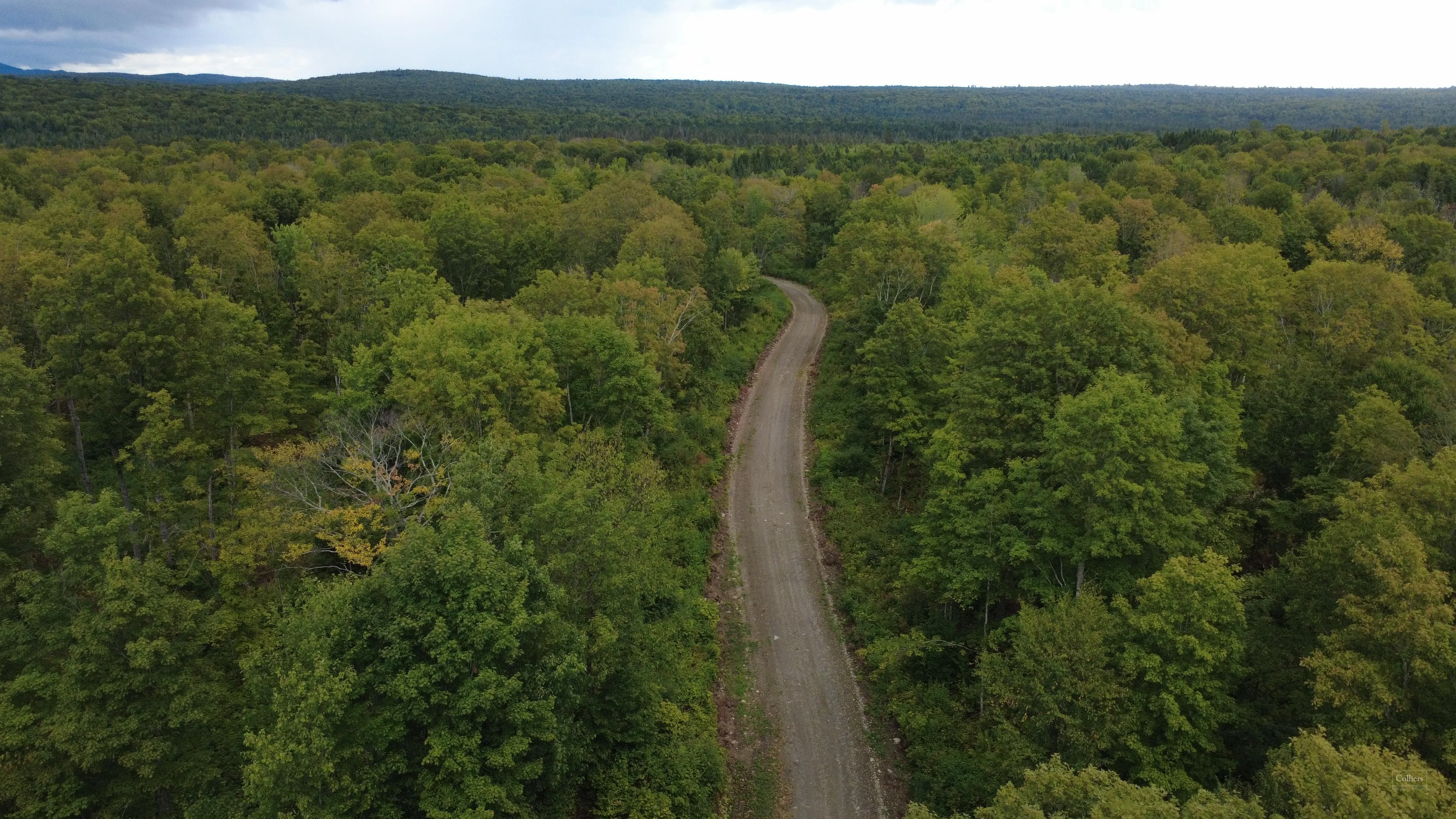 770± Acres of Undeveloped Forest — Sale in Elm Stream Township, ME, photo 4 of 4