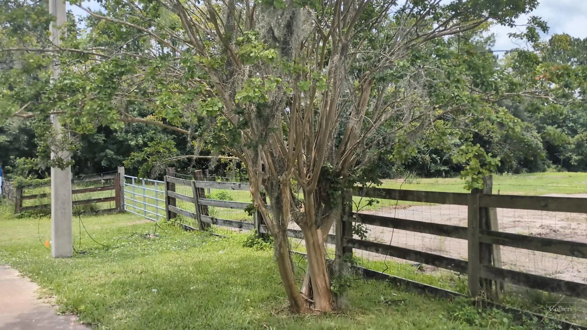4.82± acres with 334 Front Feet on Blair Road — Sale in Jacksonville, FL, photo 5 of 8