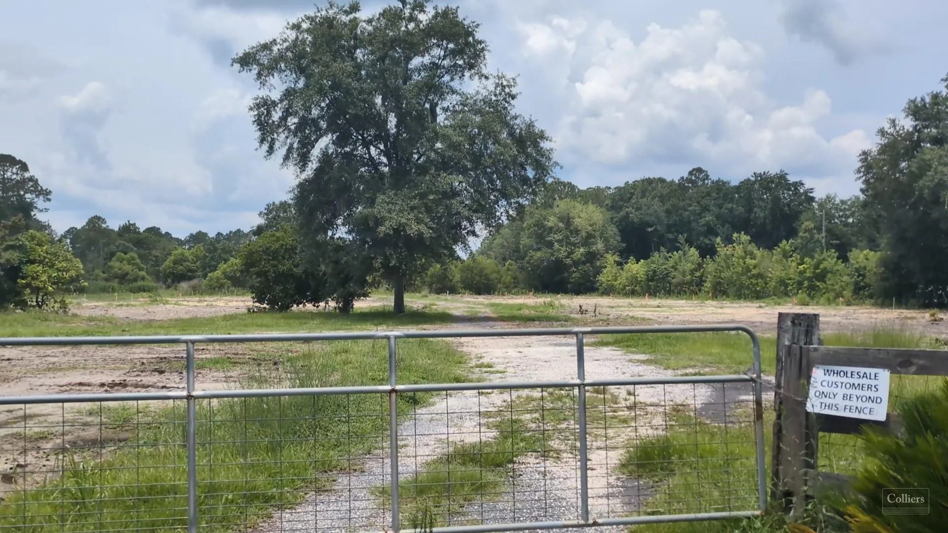 4.82± acres with 334 Front Feet on Blair Road — Sale in Jacksonville, FL, photo 7 of 8