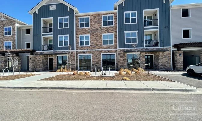 Lincoln Hills Shopping Center - photo 3 - Lone Tree, CO