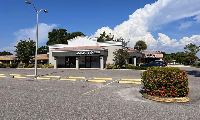 West Park Village - photo 9 - Tampa, FL