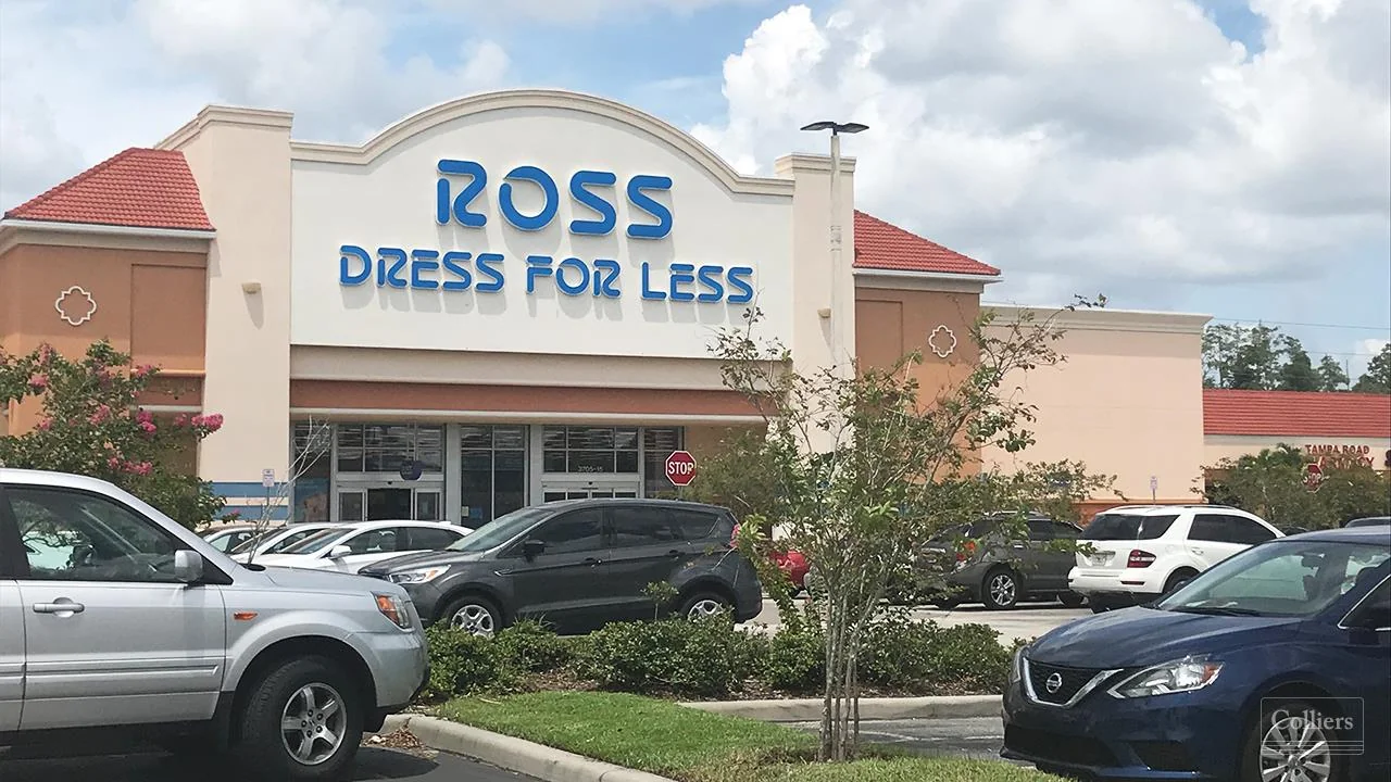 Forest Lakes Plaza - photo 1 - Oldsmar, FL
