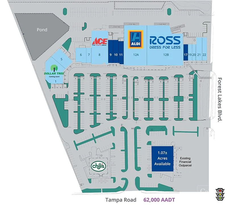 Forest Lakes Plaza - photo 3 - Oldsmar, FL