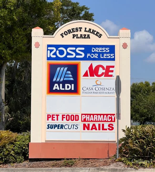Forest Lakes Plaza - photo 5 - Oldsmar, FL