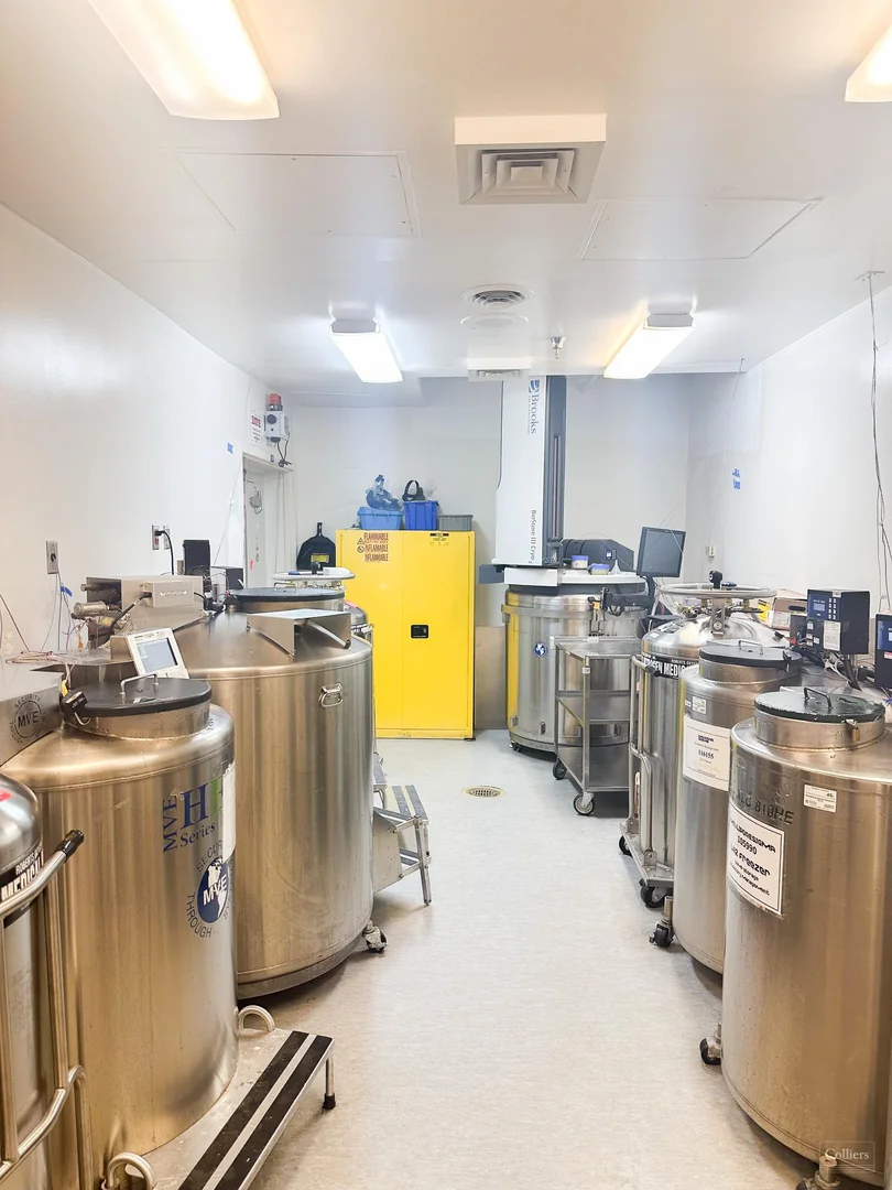 Exceptional Investment Opportunity: SHORT-TERM NNN SALE/LEASEBACK THROUGH 12/31/2026 - photo 12 - Rockville, MD