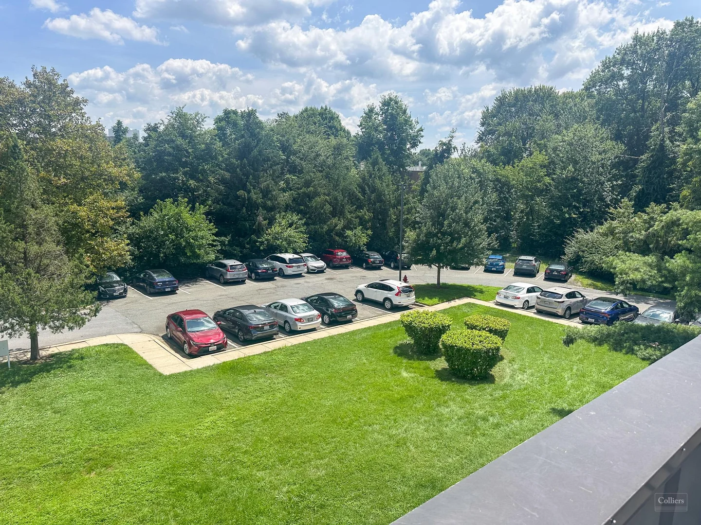 Exceptional Investment Opportunity: SHORT-TERM NNN SALE/LEASEBACK THROUGH 12/31/2026 - photo 16 - Rockville, MD