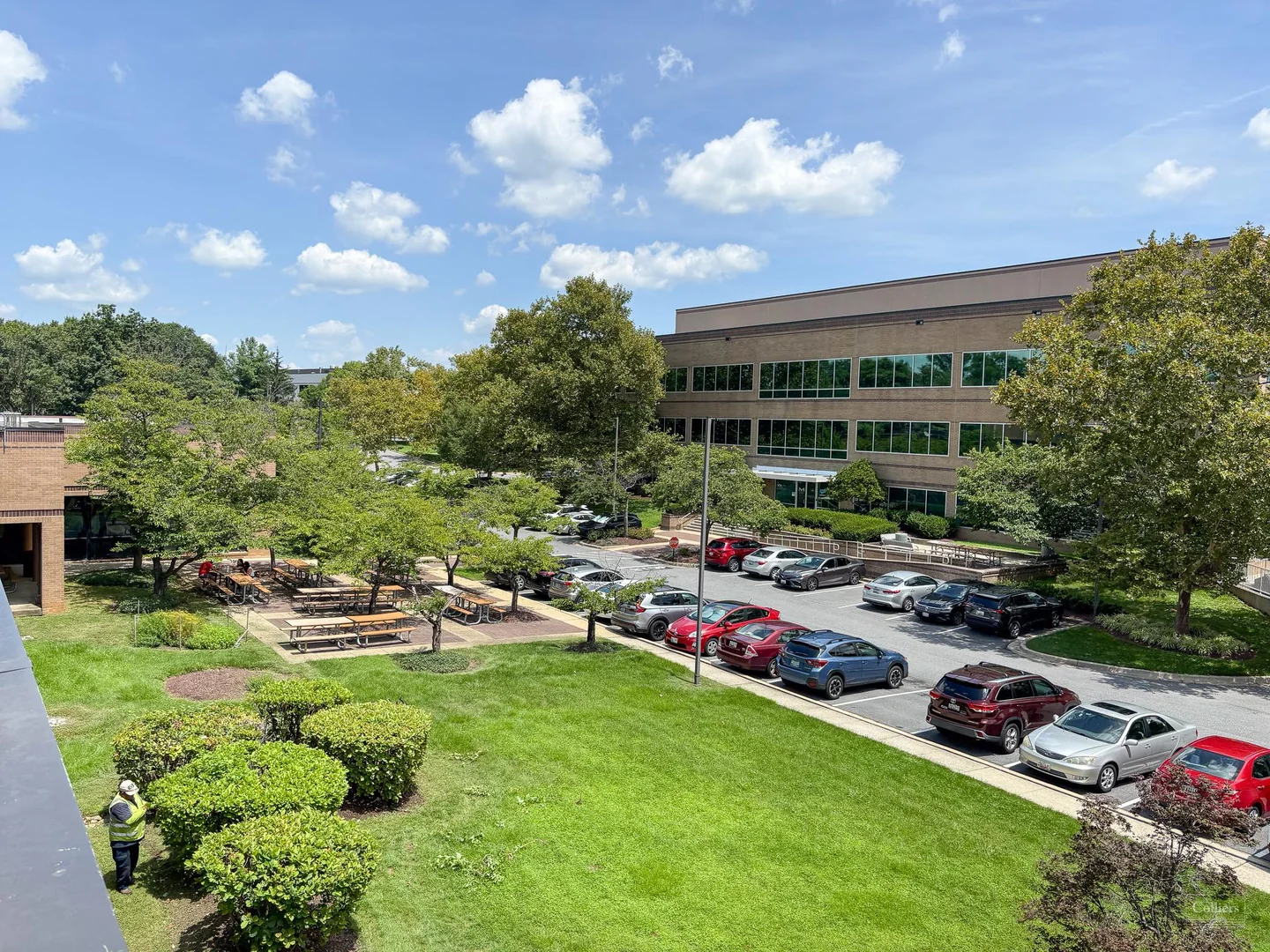 Exceptional Investment Opportunity: SHORT-TERM NNN SALE/LEASEBACK THROUGH 12/31/2026 - photo 17 - Rockville, MD