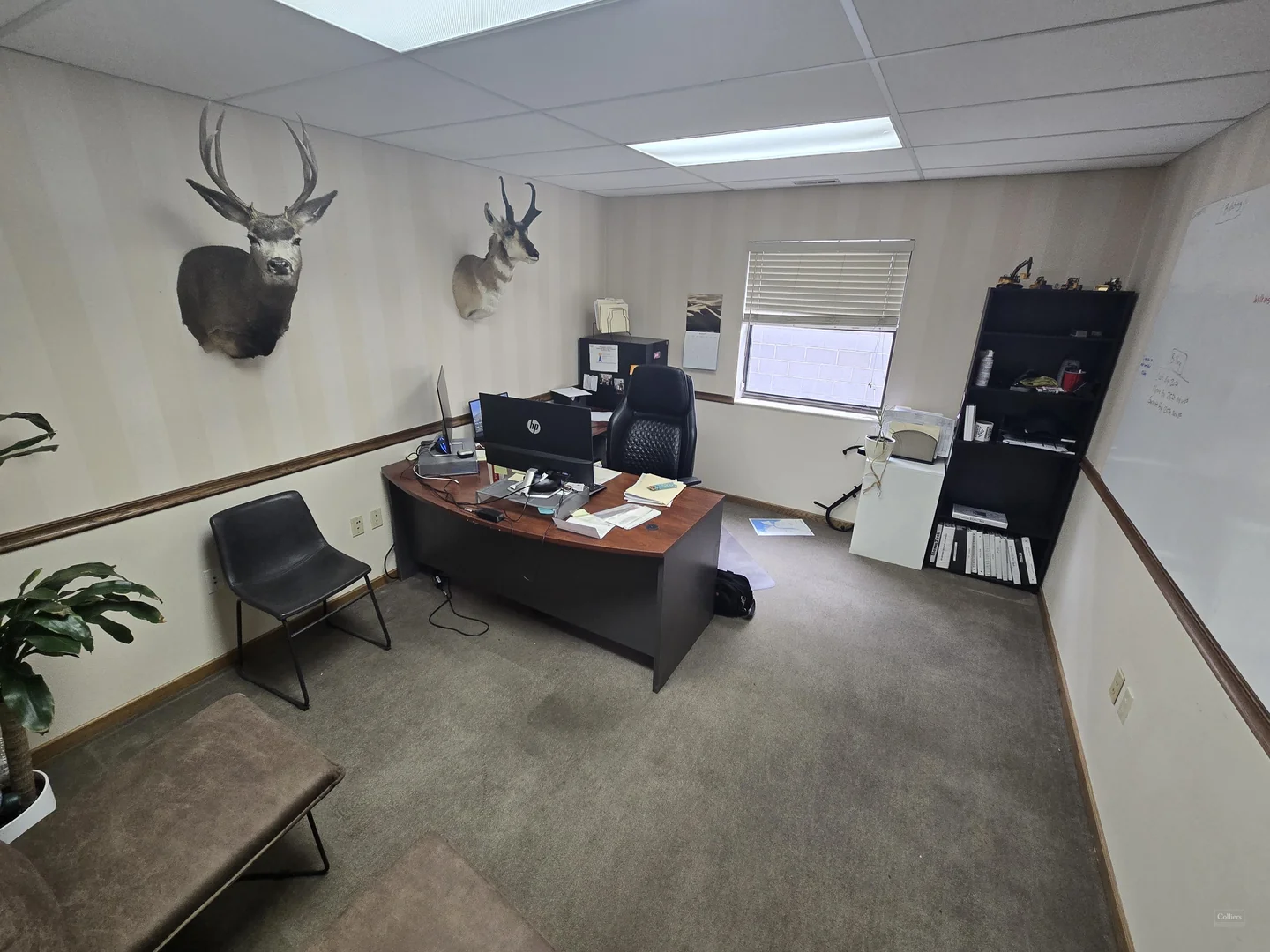Safford | Suite 102 for Sublease — Lease in Orem, UT, photo 6 of 8
