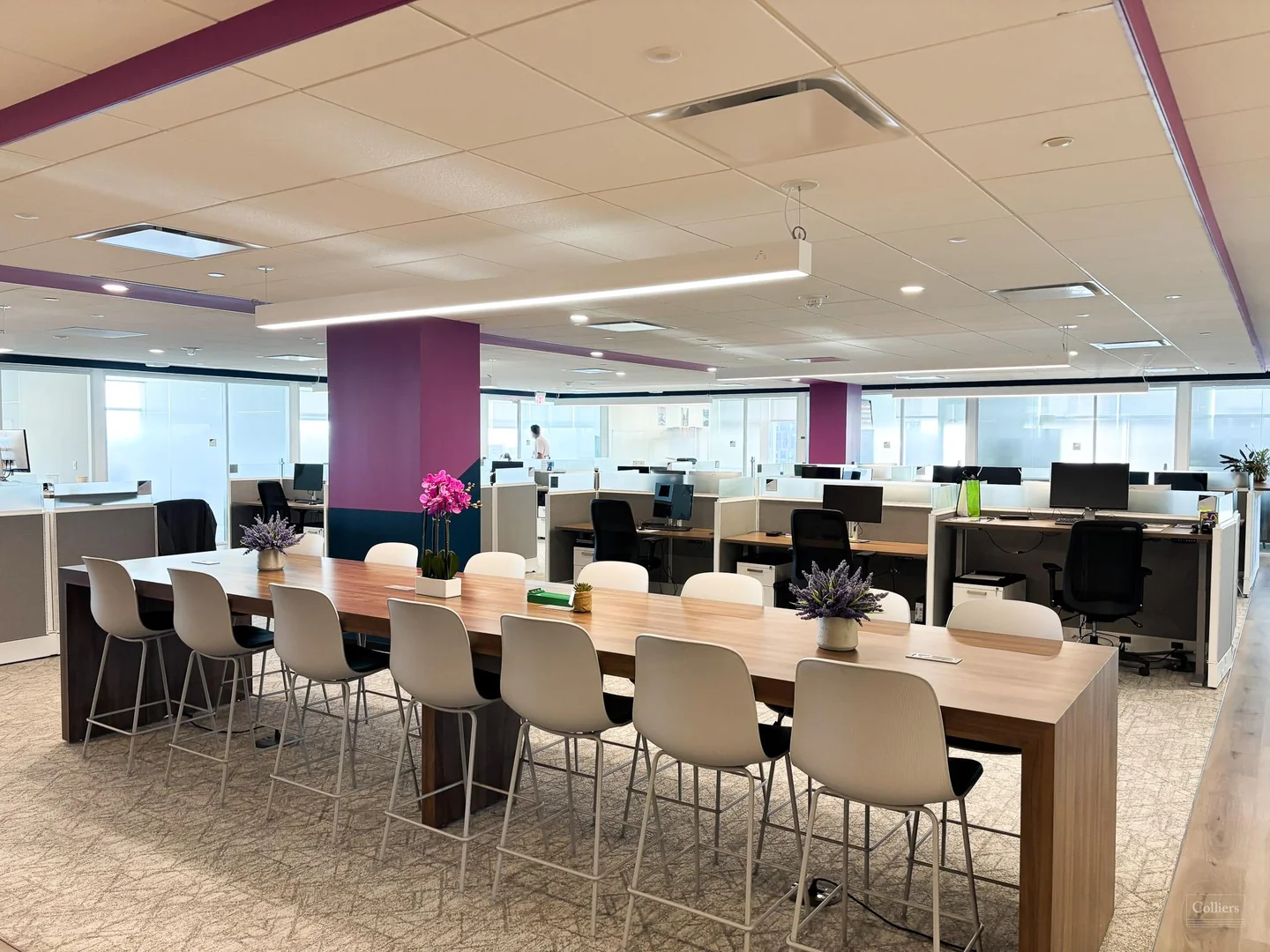 Plug + Play Office Sublease in Tysons — Lease in Mclean, VA, photo 5 of 8