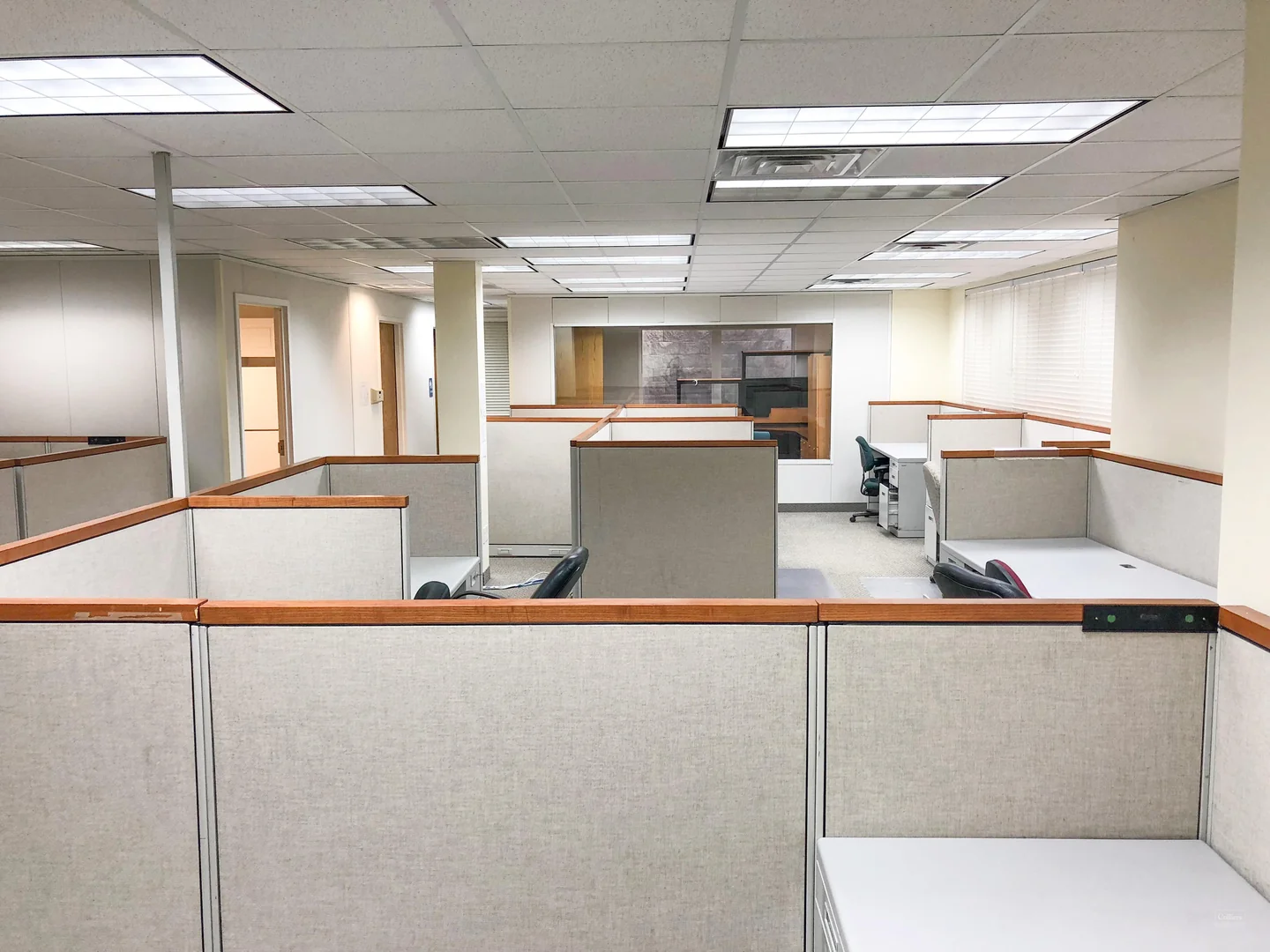 Fibernet Bldg C | For Lease | Main Level - photo 4 - Orem, UT
