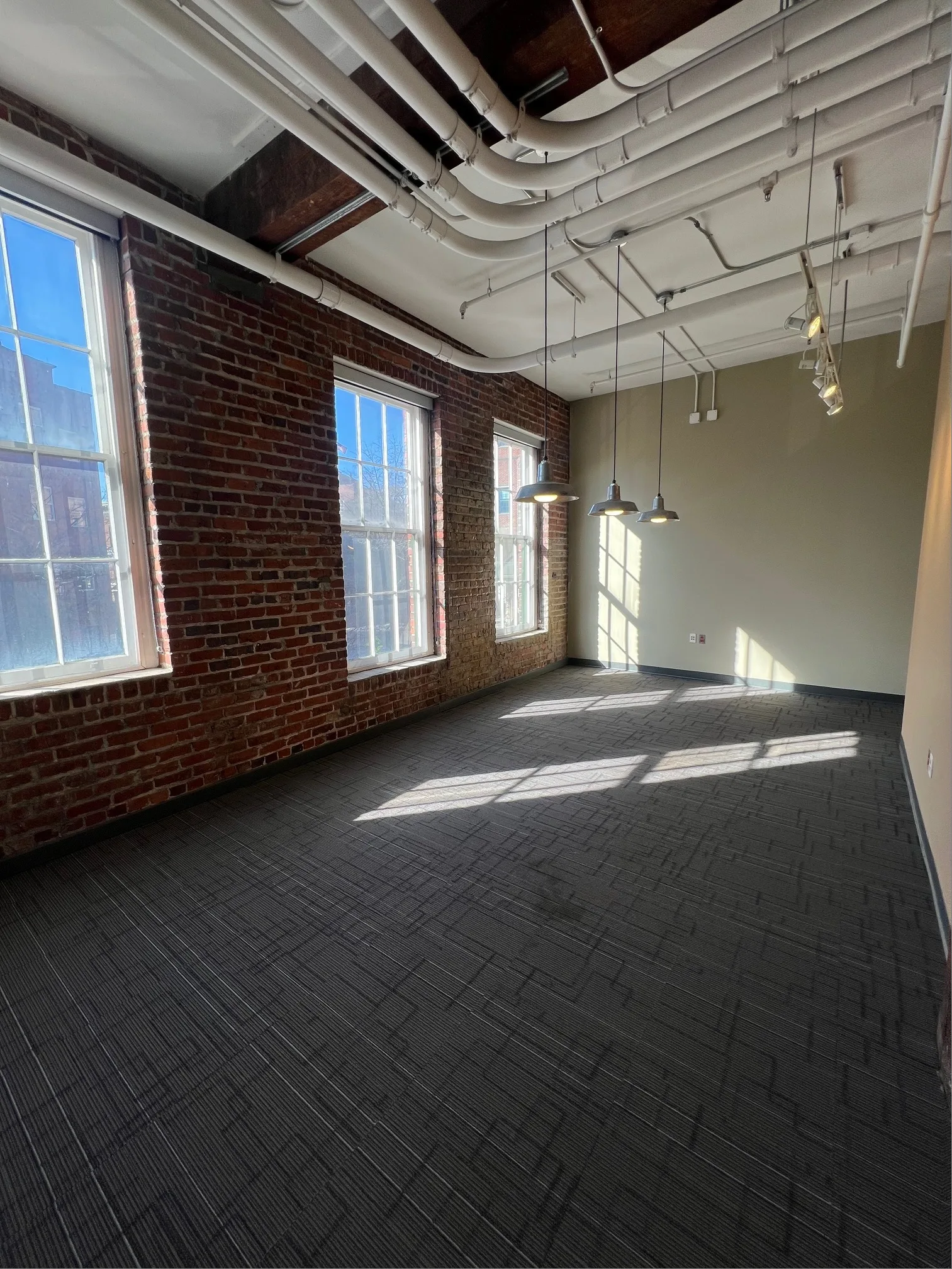 1329 E Cary St - photo 3 - Richmond, VA