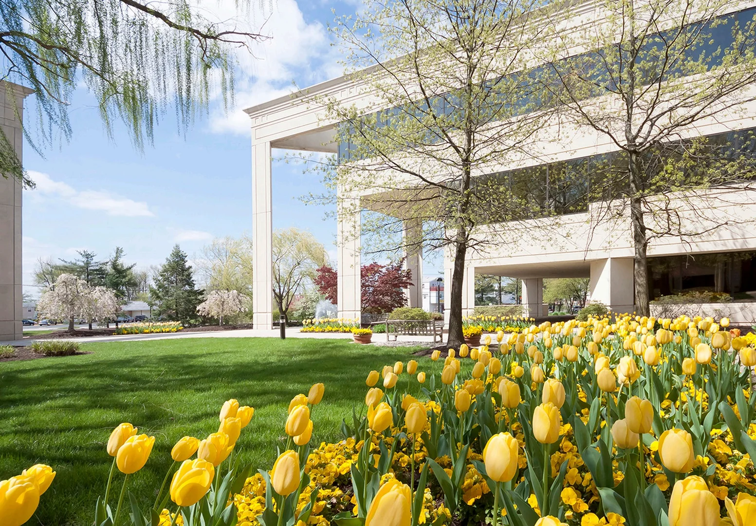 Commerce Center — Lease in Cherry Hill, NJ, photo 1 of 4