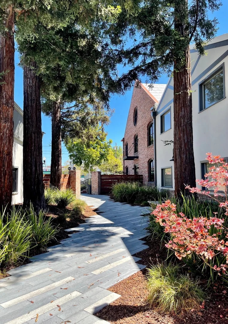 The Cannery — Lease in Campbell, CA, photo 3 of 7