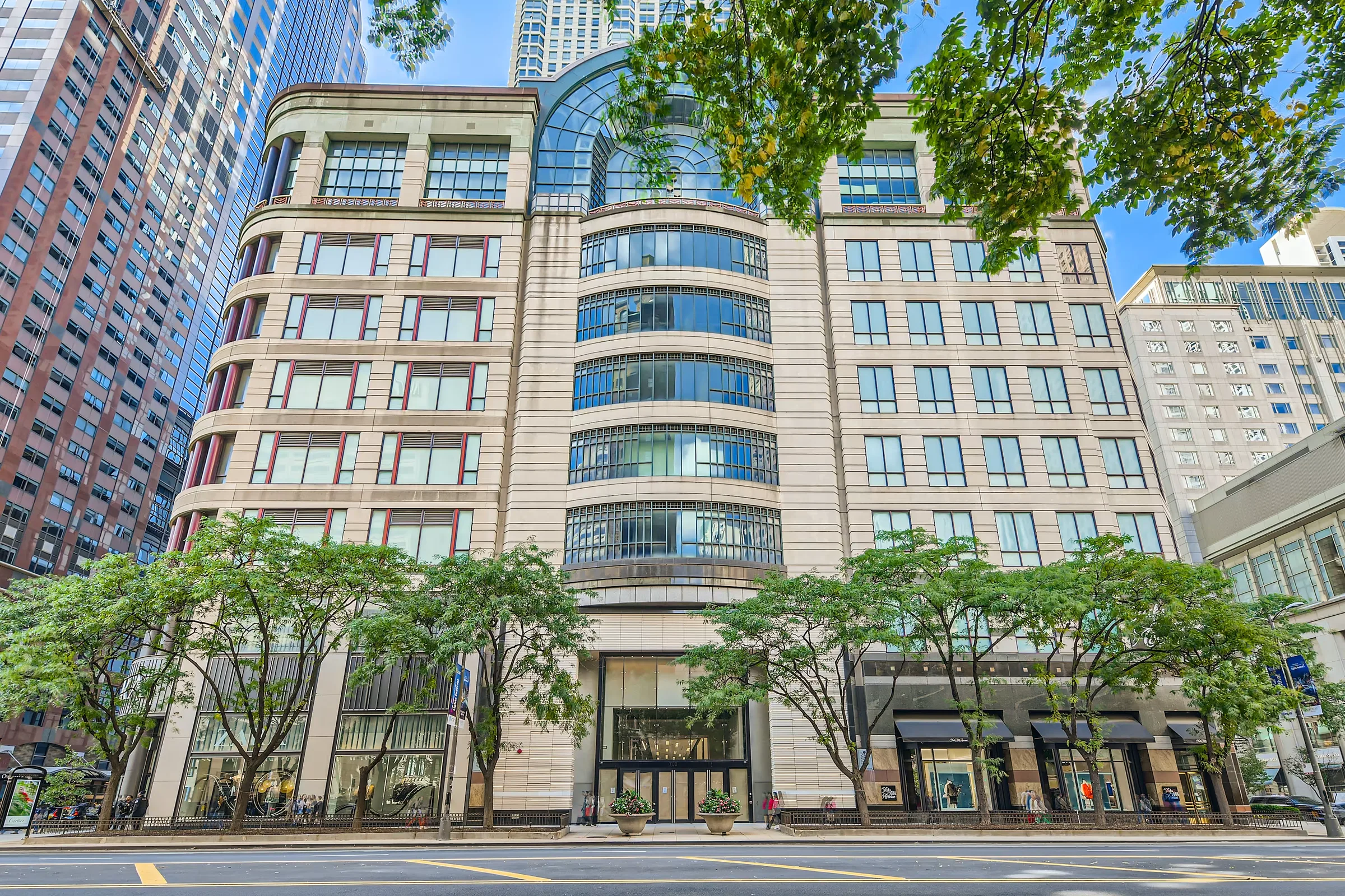 700 N Michigan Ave - photo 2 - 700 N Michigan Ave Chicago, IL