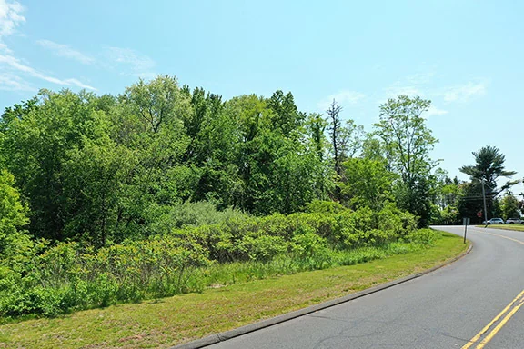 Land in Rocky Hill, CT — Sale in Rocky Hill, CT, photo 4 of 5