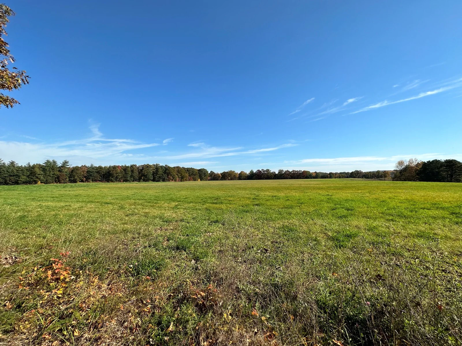Land in Westfield, MA — Sale in Westfield, MA, photo 1 of 4