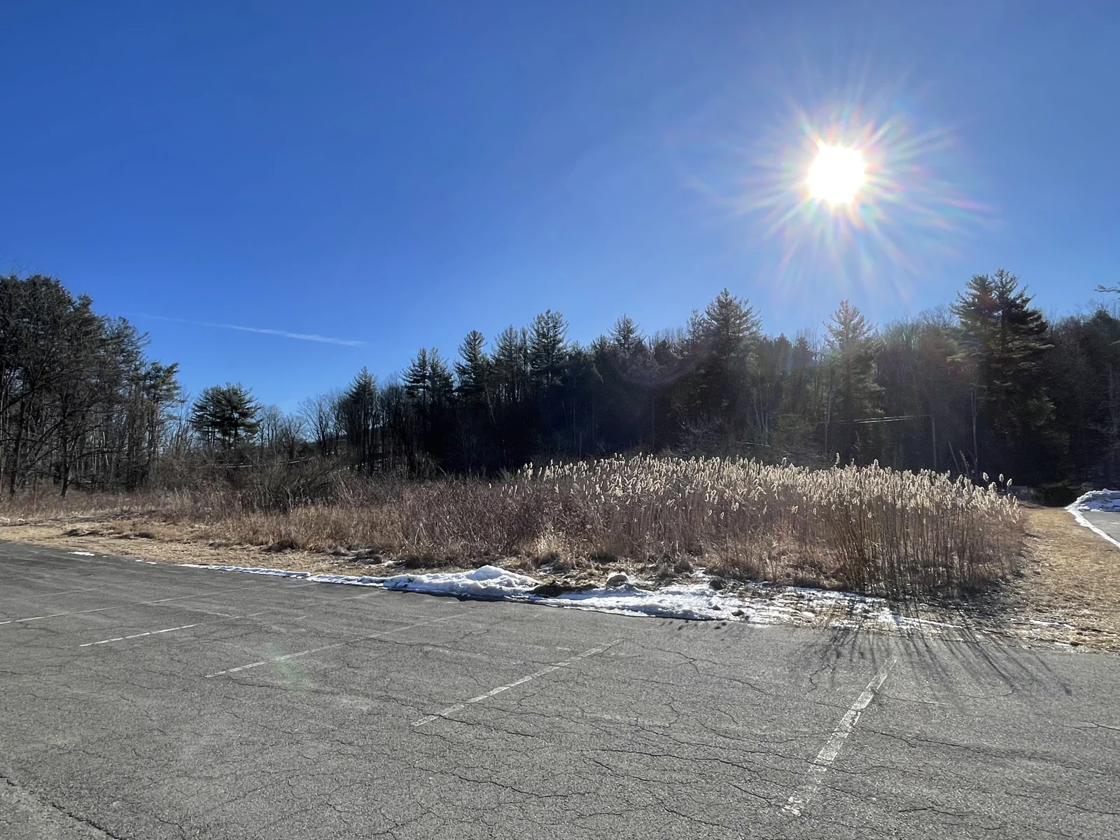 Land in Barkhamsted, CT — Sale in Barkhamsted, CT, photo 5 of 5
