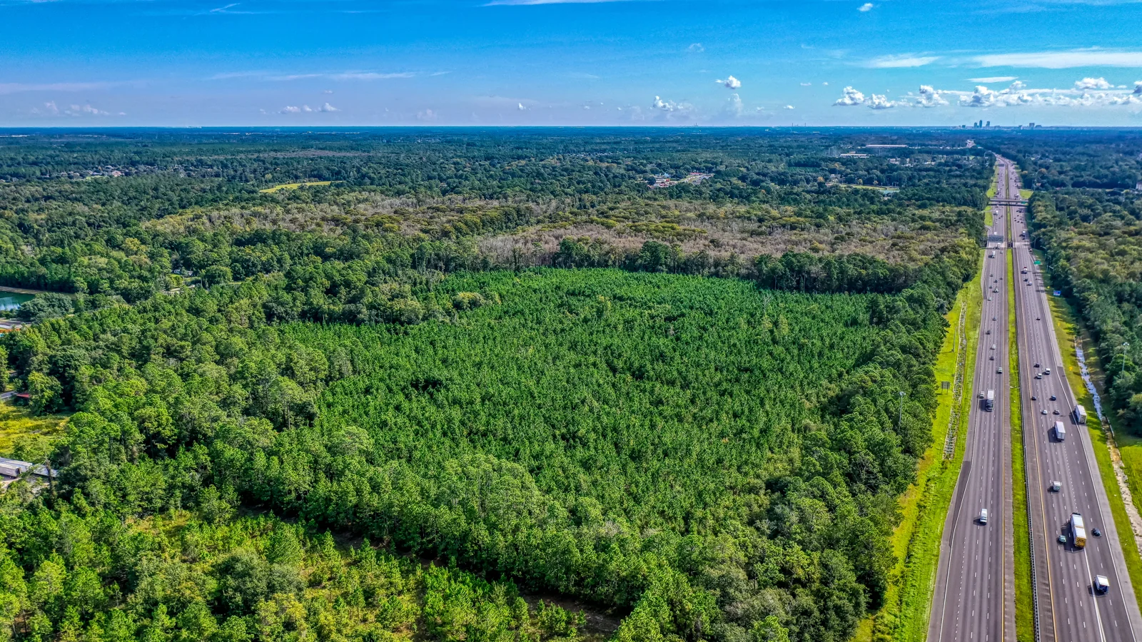 Trinity Tract — Sale in Jacksonville, FL, photo 1 of 4