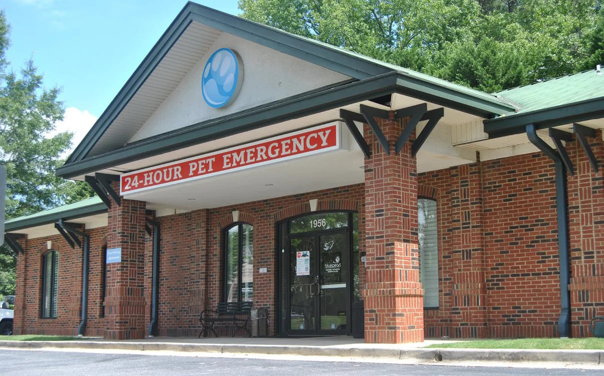 Healthcare in Lawrenceville, GA — Sale in Lawrenceville, GA, photo 1 of 1