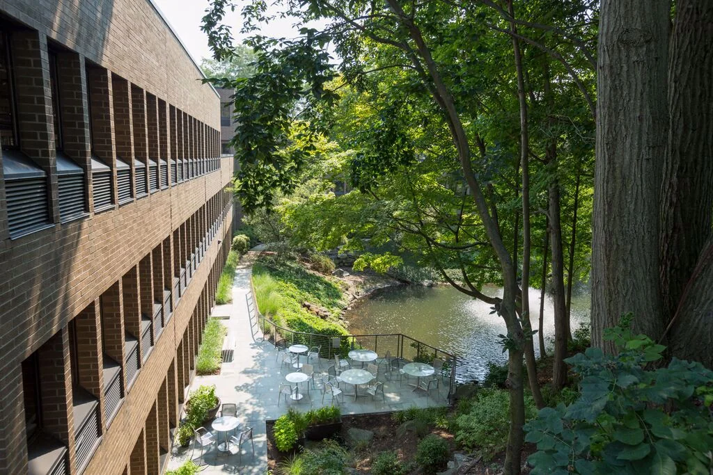 Office in Greenwich, CT — Lease in Greenwich, CT, photo 2 of 8