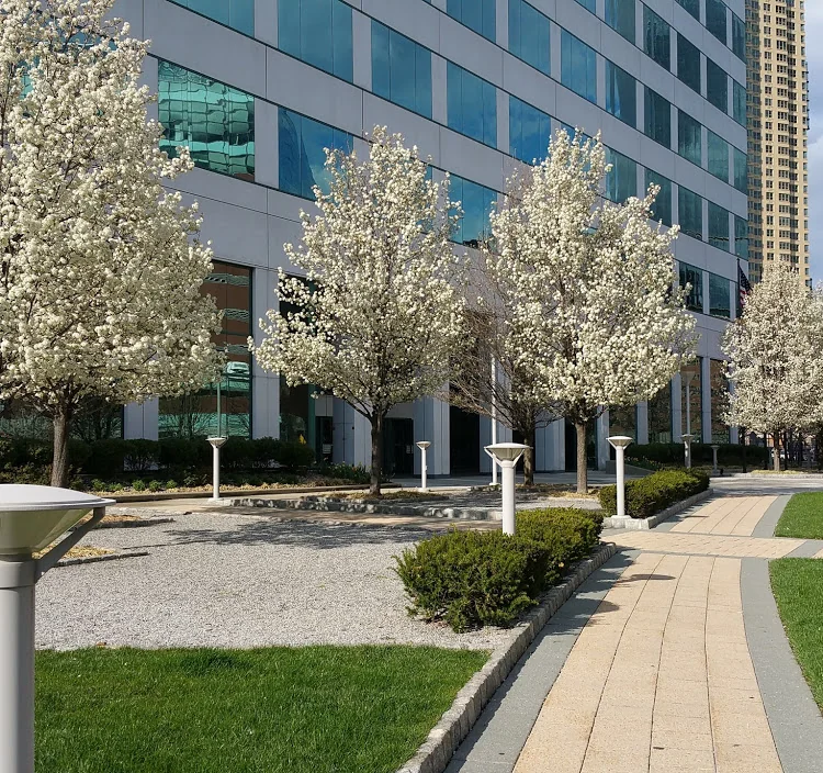 Office in Jersey City, NJ — Lease in Jersey City, NJ, photo 4 of 8