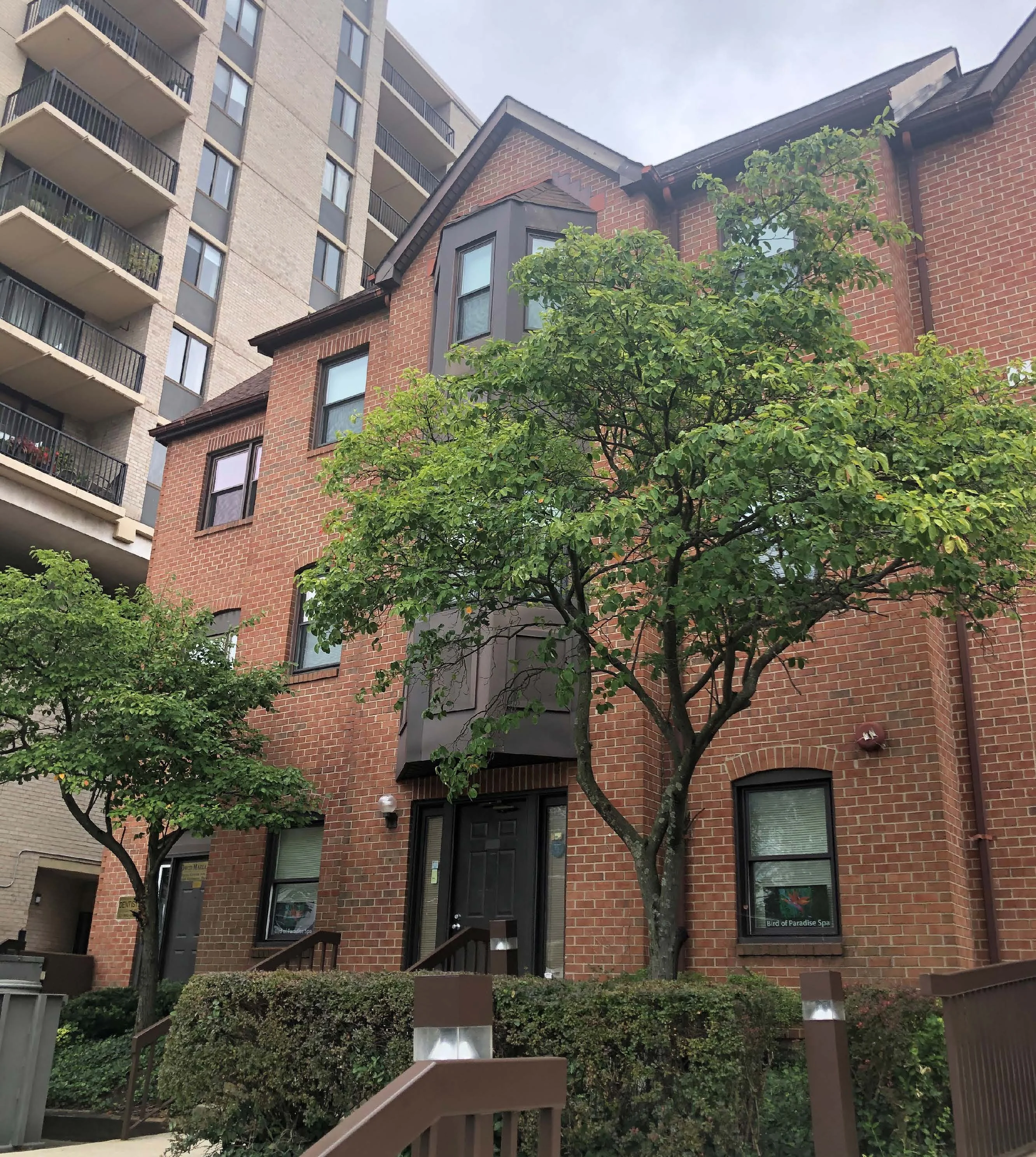 Montgomery Mews — Lease in Bethesda, MD, photo 4 of 5
