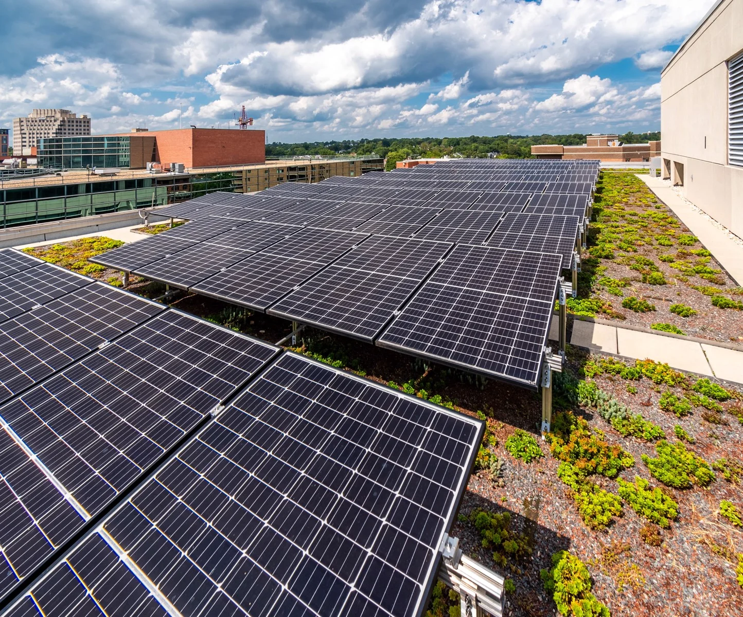 The Nature Conservancy — Lease in Arlington, VA, photo 3 of 8