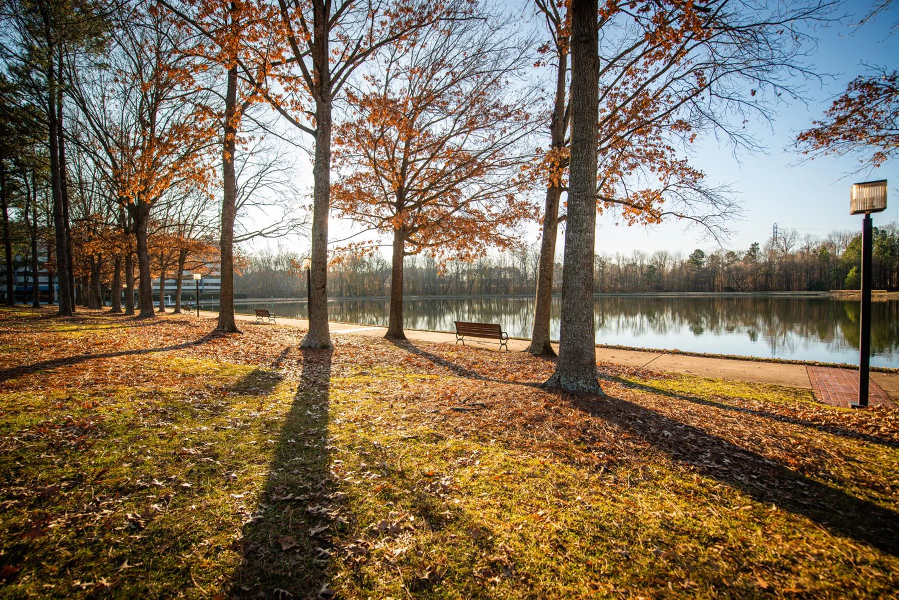 2525 Meridian - photo 7 - Durham, NC