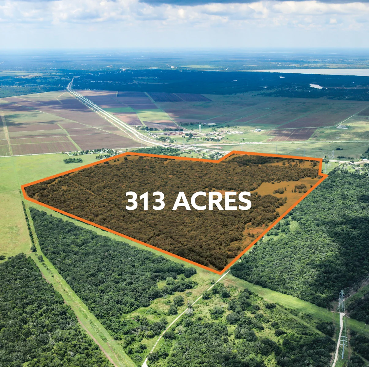 313 Acres on Highway 36 near FM 2004 — Sale in Freeport, TX, photo 3 of 5