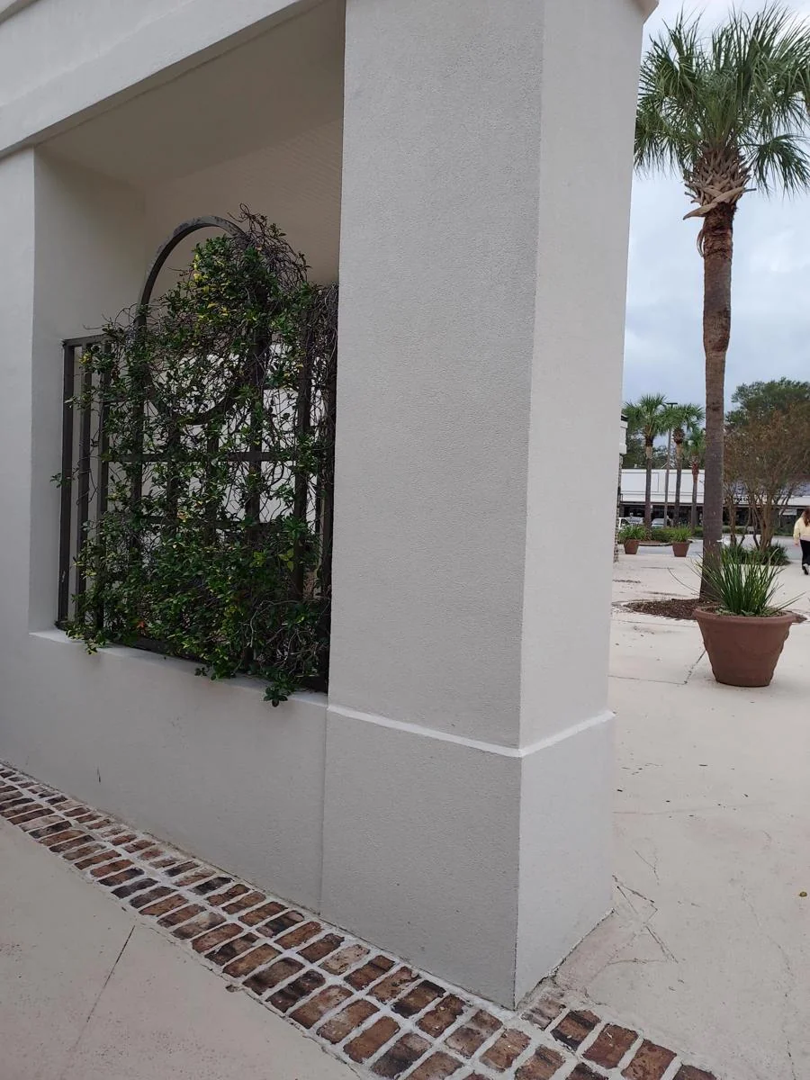 Northcutt Plaza - photo 5 - Mount Pleasant, SC