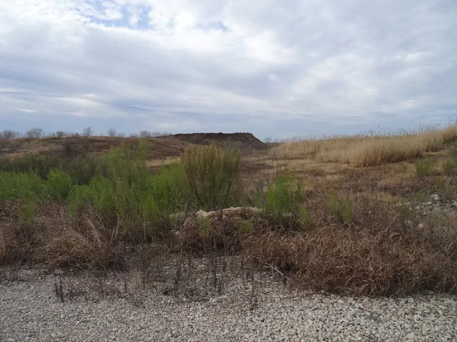 Old Decatur Rd Land Site — Sale in Fort Worth, TX, photo 4 of 5