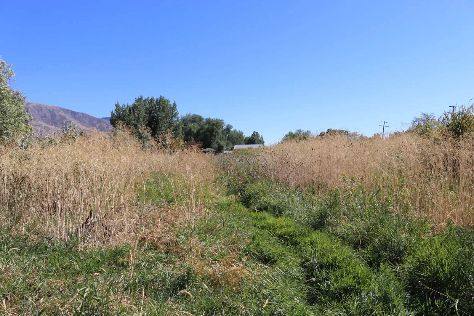 895 North 625 West — Sale in Brigham City, UT, photo 4 of 5