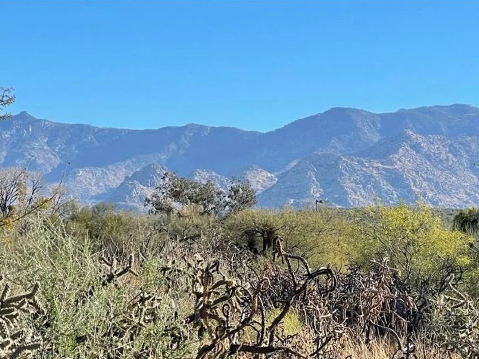 ±1.44 acres Commercial Land For Sale - Oro Valley — Sale in Oro Valley, AZ, photo 1 of 1