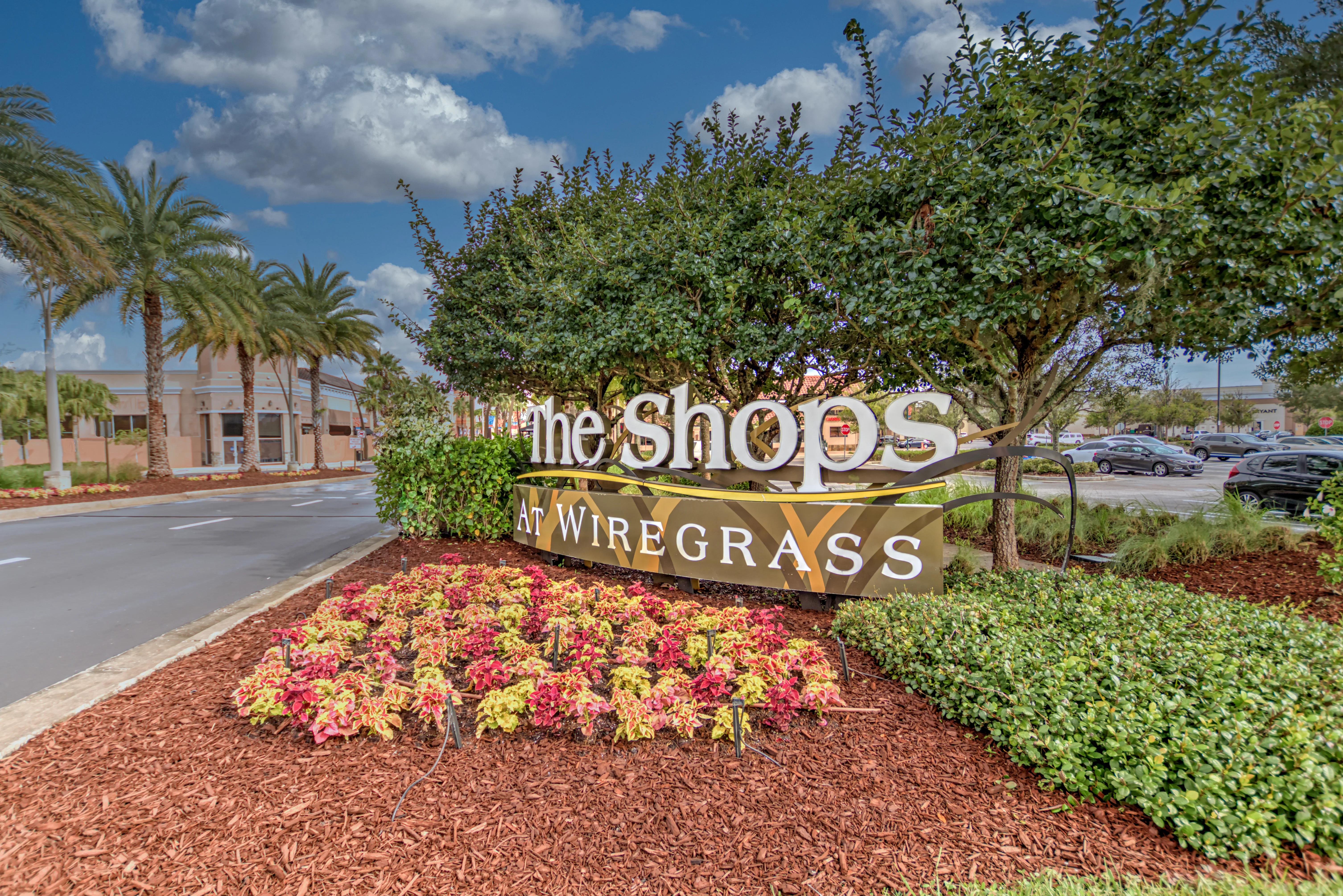 The Shops at Wiregrass - photo 4 - Wesley Chapel, FL