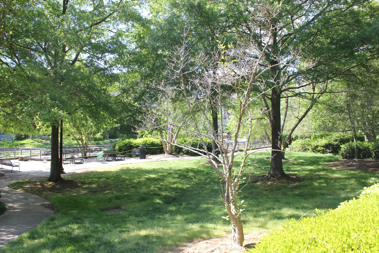 The Bowater Building - photo 7 - Greenville, SC