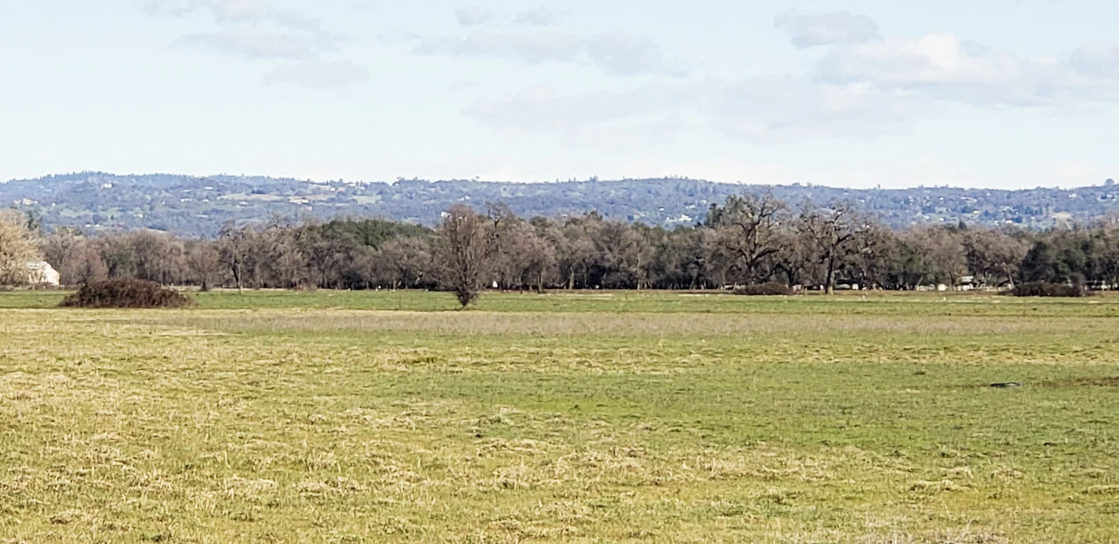 Land in Lincoln, CA — Sale in Lincoln, CA, photo 2 of 4