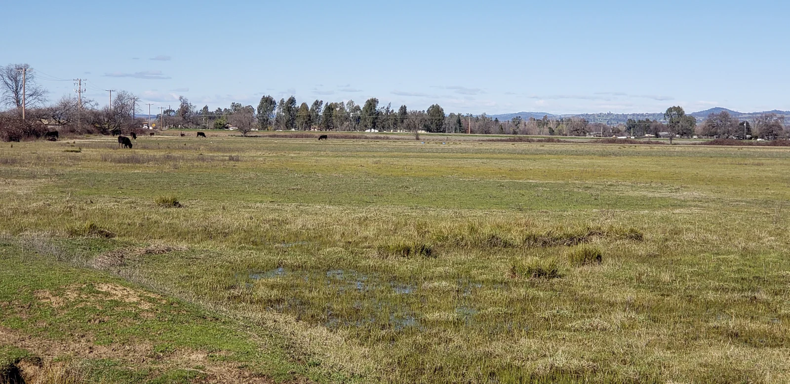 Land in Lincoln, CA — Sale in Lincoln, CA, photo 3 of 4