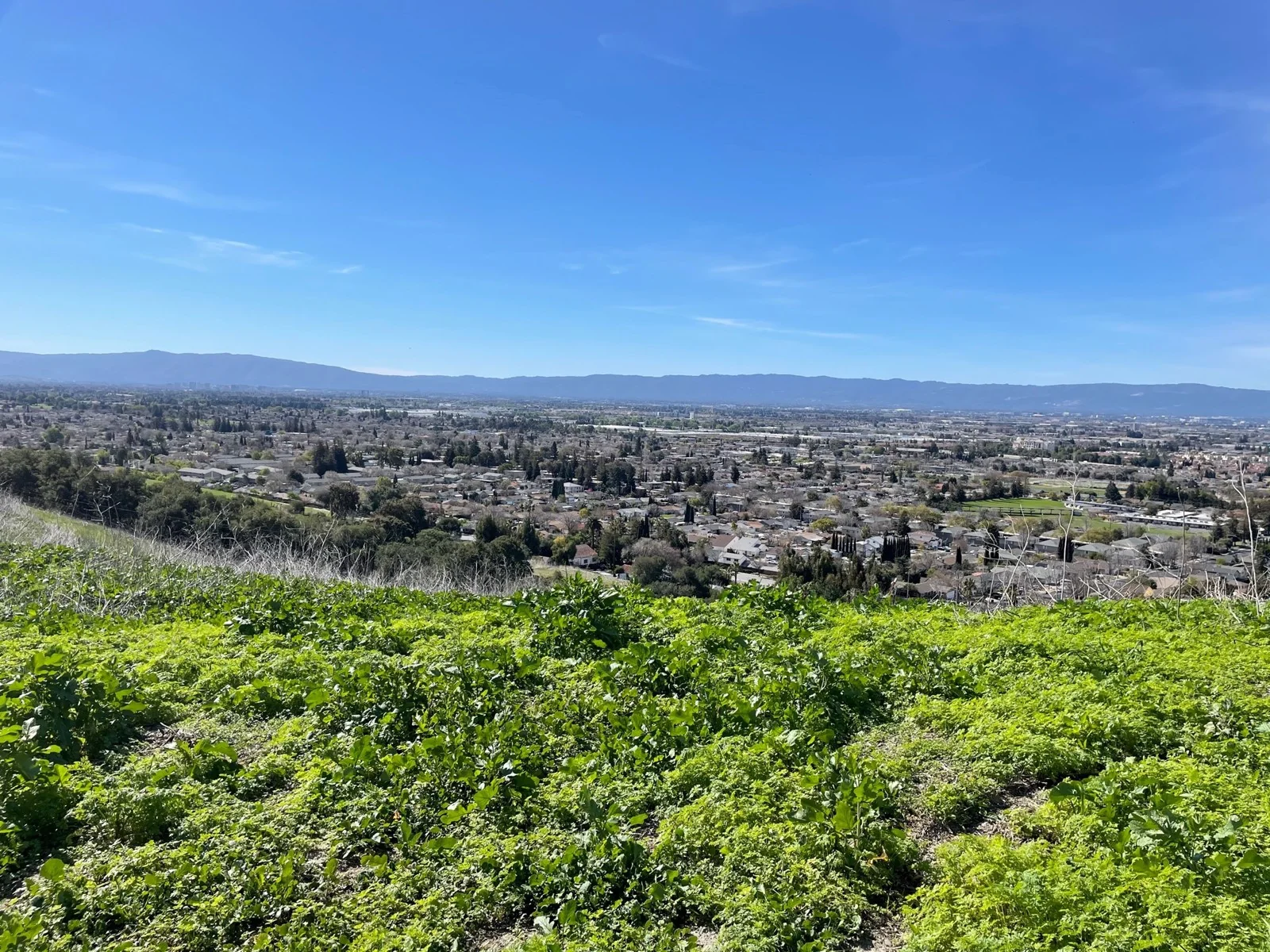 Land in Milpitas, CA — Sale in Milpitas, CA, photo 1 of 3