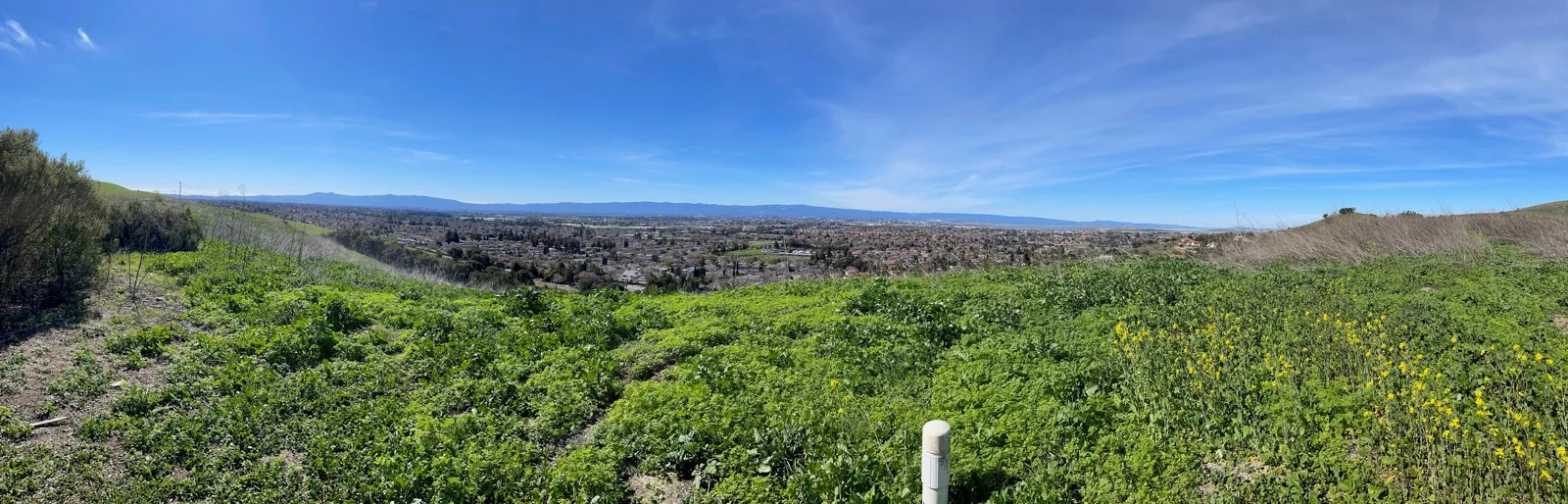 Land in Milpitas, CA — Sale in Milpitas, CA, photo 2 of 3
