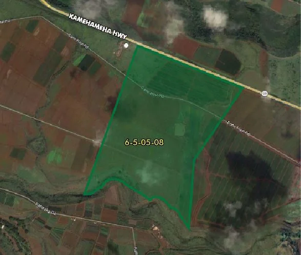 Property in Unknown, XX