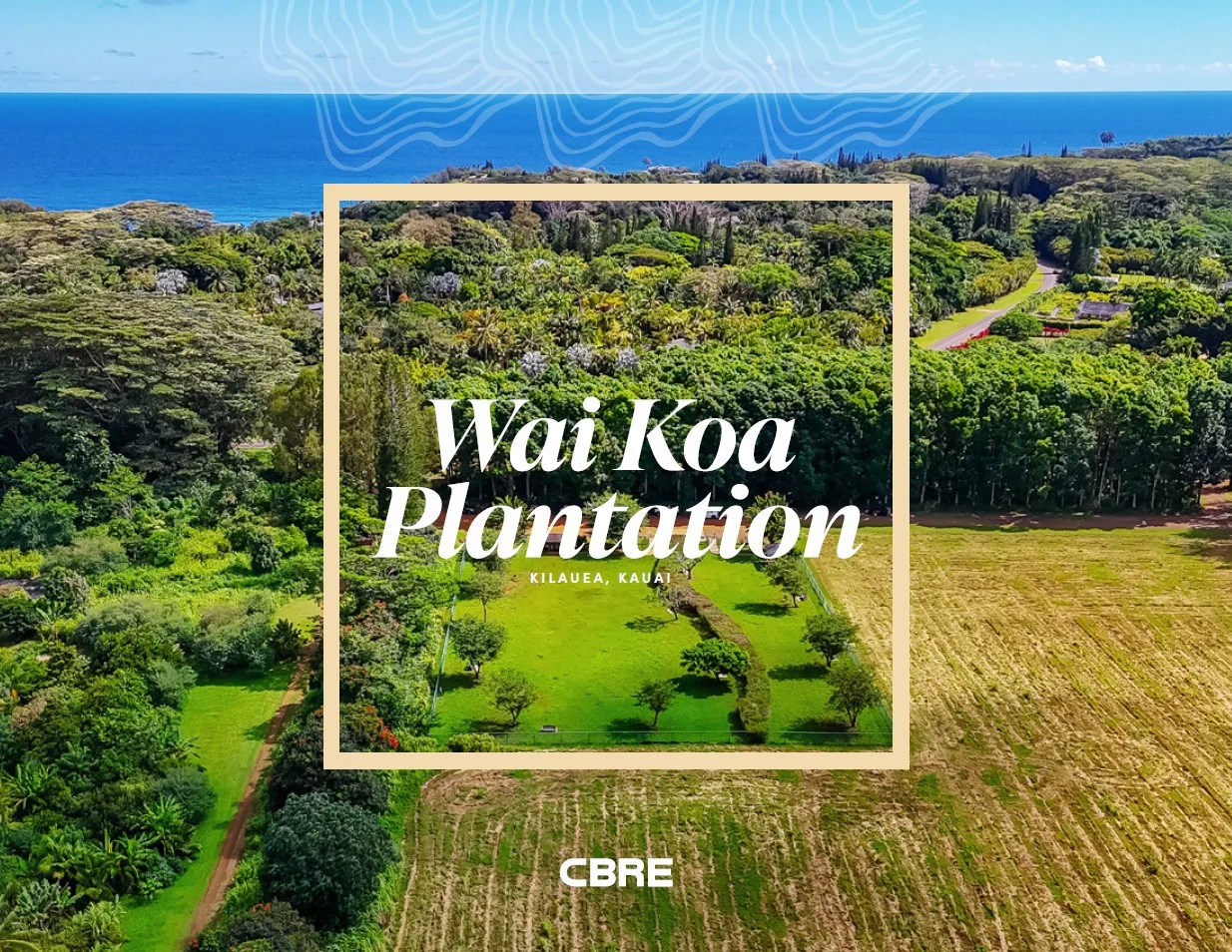 Property in Unknown, XX - photo 1 - Kilauea, HI