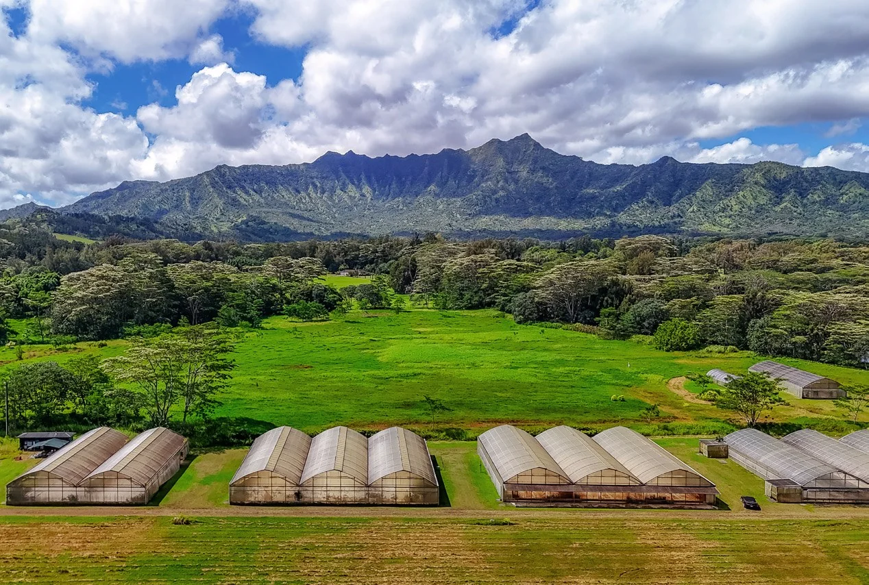 Property in Unknown, XX - photo 3 - Kilauea, HI