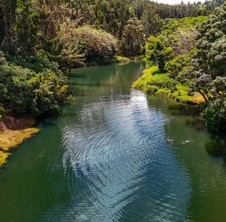 Property in Unknown, XX - photo 6 - Kilauea, HI
