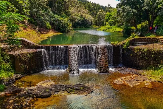 Property in Unknown, XX - photo 10 - Kilauea, HI