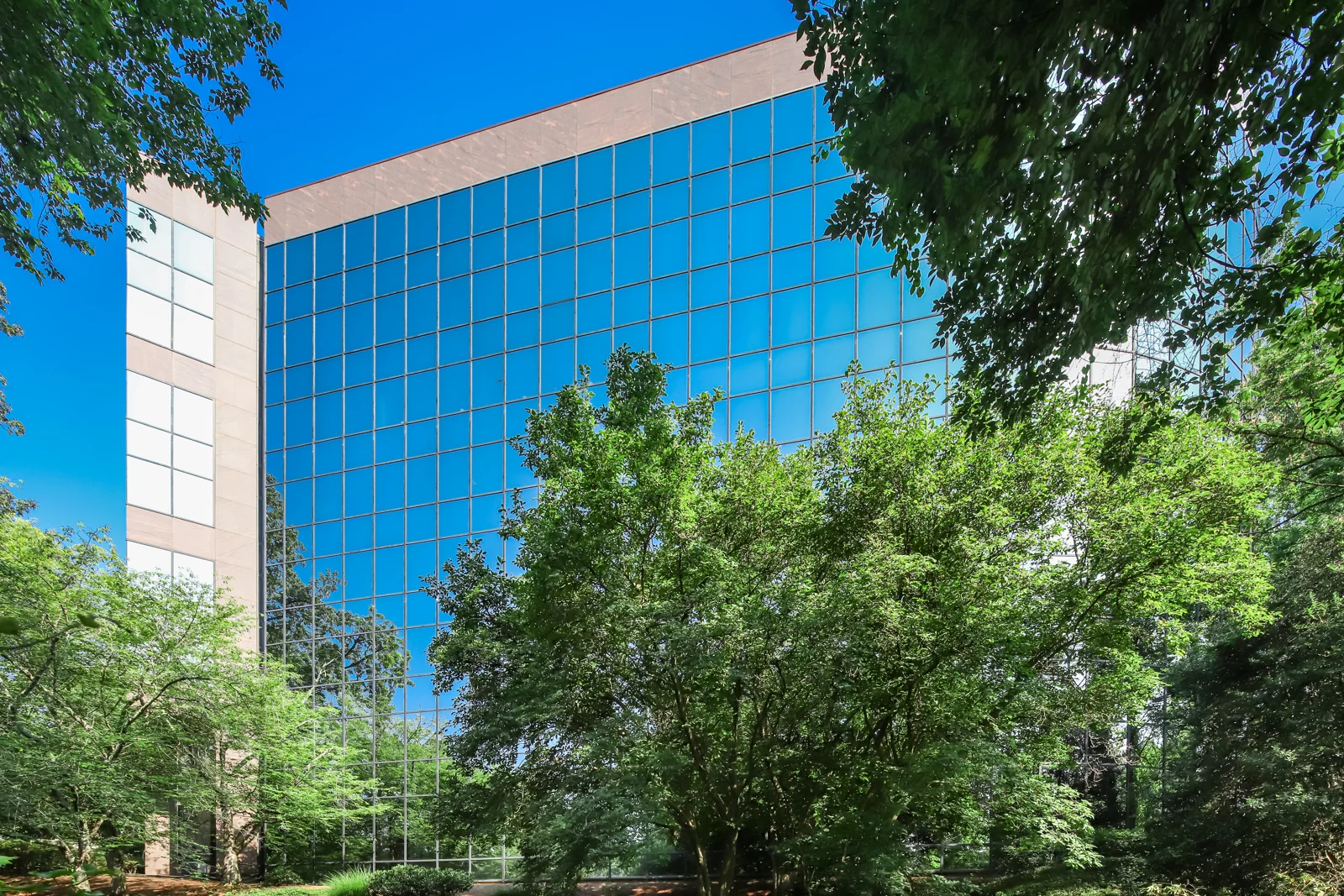 Office in Atlanta, GA — Sale in Atlanta, GA, photo 4 of 8