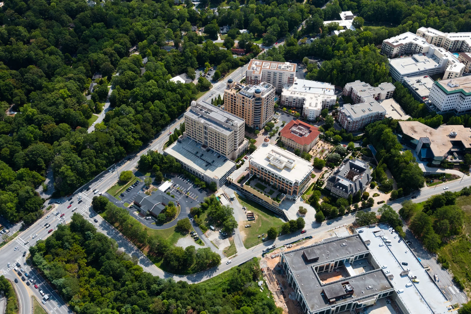 The Medici - photo 6 - Atlanta, GA