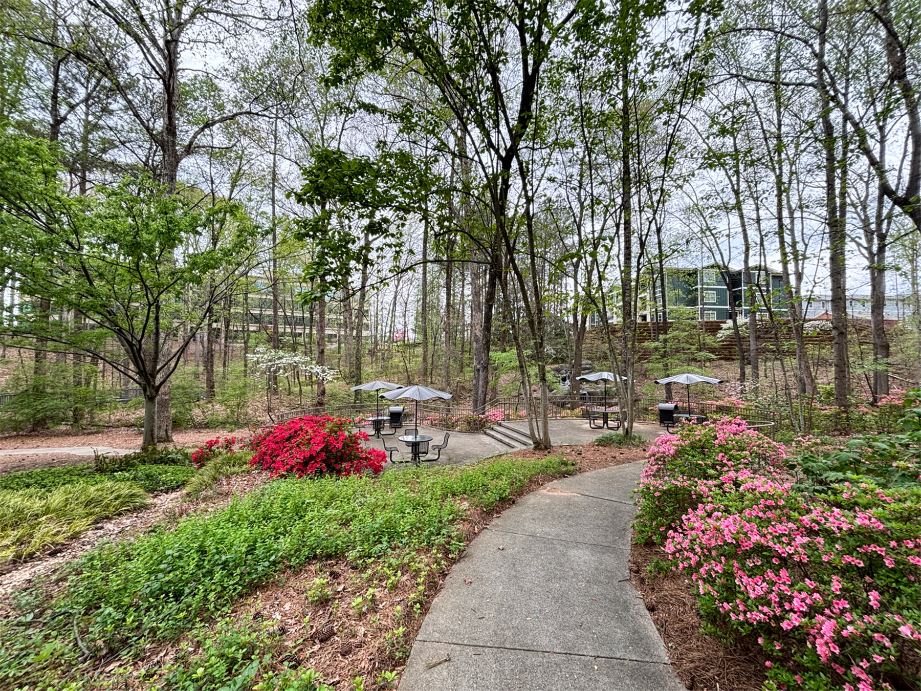 Ravine Three - photo 2 - Kennesaw, GA