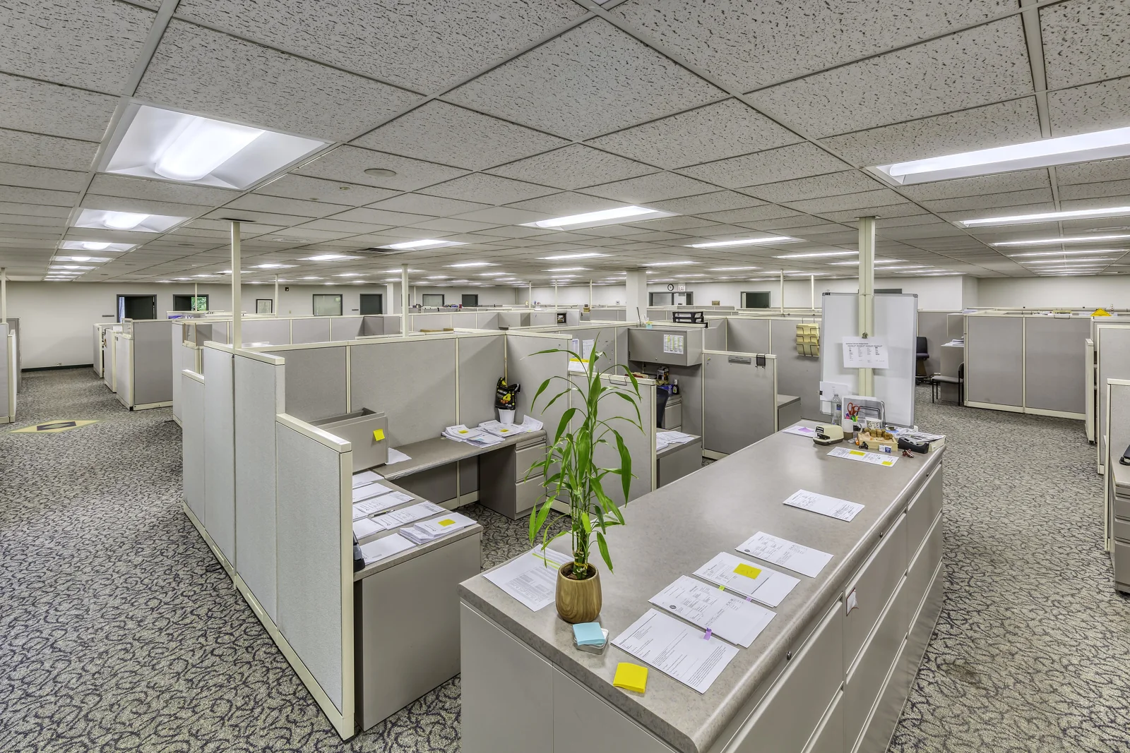 2401 Waukegan Road - photo 7 - Bannockburn, IL